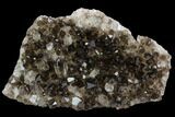 Dark Smoky Quartz Crystal Cluster - Brazil #124581-1